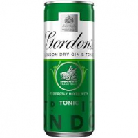Gordons Gin And Tonic Water Premix 250ml / 5%