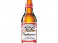 Budweiser 5% 330ml Bottle