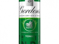 Gordons Gin And Tonic Water Premix 250ml / 5%