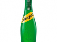 Schweppes Canada Dry Ginger Ale 1 Lt