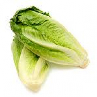 Oaklands Romaine Lettuce Hearts (Two Quantity) packed 