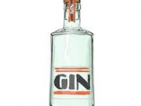 Gin