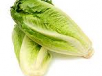 Oaklands Romaine Lettuce Hearts (Two Quantity) packed 