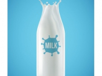 Milk