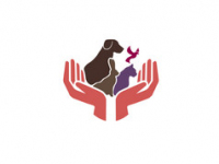 Pets Care