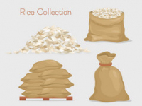 Rice