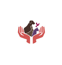 Pets Care image