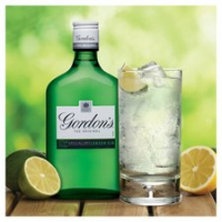 Gordon Special Dry London Gin 35.5%vol 35cl PM