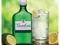Gordon Special Dry London Gin 35.5%vol 35cl PM