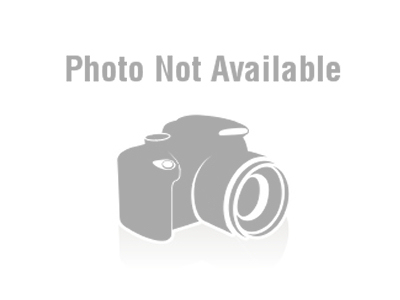 gordon pin&tonic  5%vol   250ml